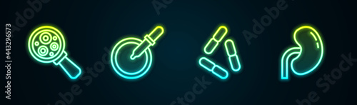 Set line Microorganisms under magnifier, Petri dish with pipette, Virus and Human kidney. Glowing neon icon. Vector