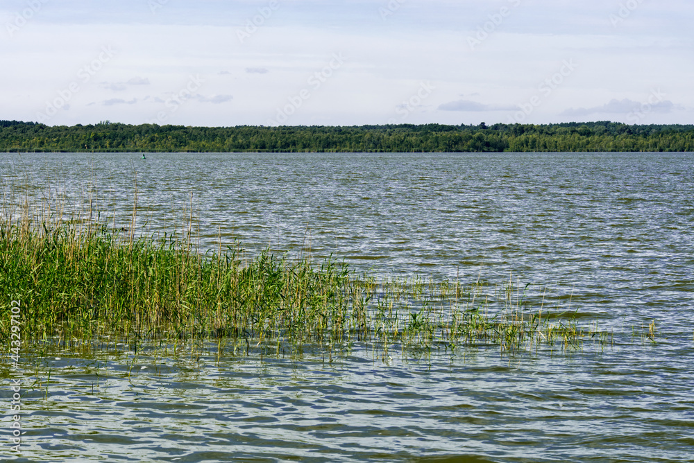 Zierker See in Neustrelitz Zierker See in Neustrelitz