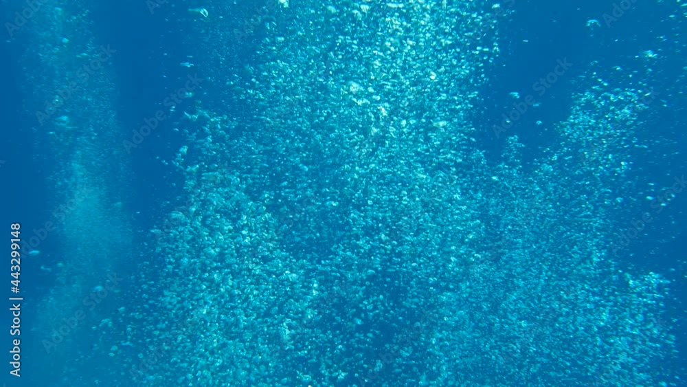 Slow motion of air bubbles floating from sea bottom to the water surface. Air bubbles in the blue water Slow motion of air bubbles floating from sea bottom to the water surface. Air bubbles in the blue water