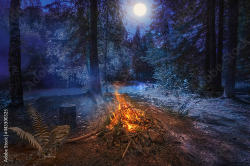 At night, a bonfire burns on the river bank in the forest, next to a fern bush is a symbol of the pagan holiday of Ivan Kupala. The full moon is shining. photo