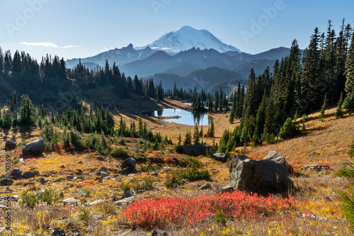 Fall In The Chinook Pass Area of Rainier National Park
