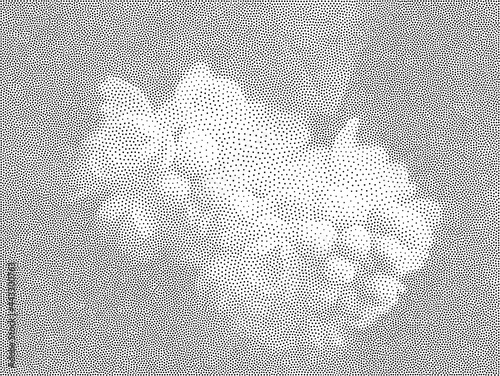 Stipple Technique Flowers