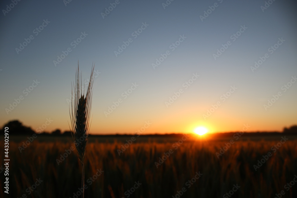 Sunset over farmland in Poland.