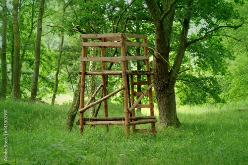 hunting pulpit in the forest, the so-called 