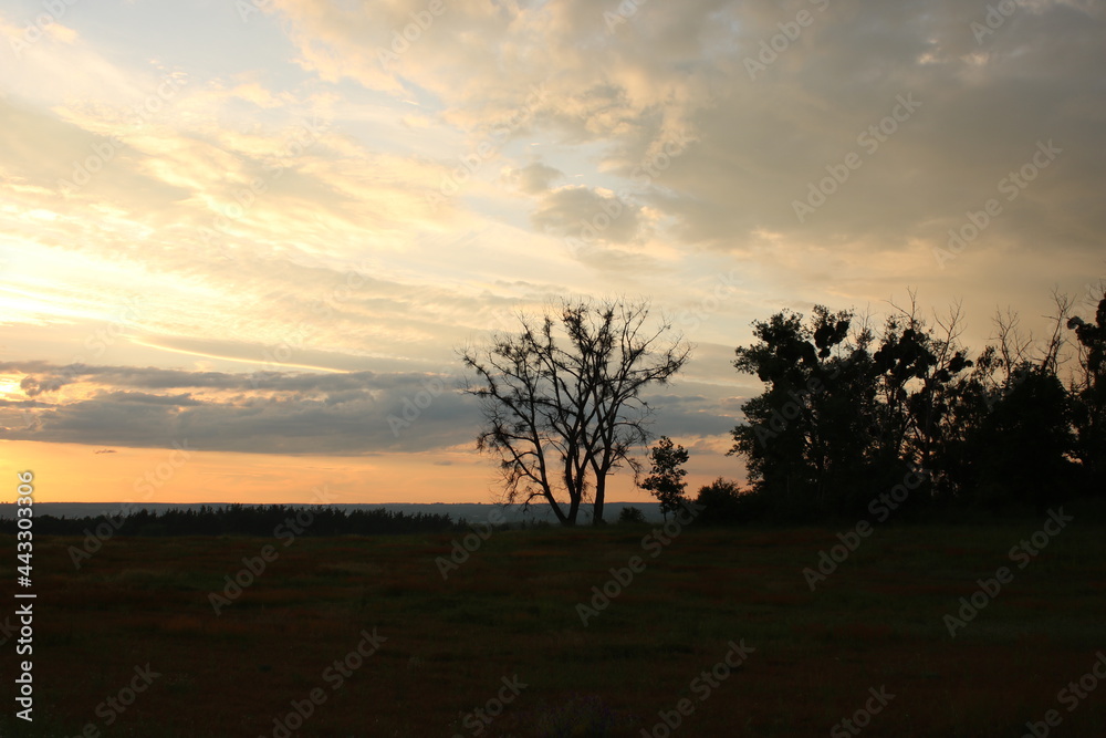 Fototapeta premium Sunset over farmland in Poland.