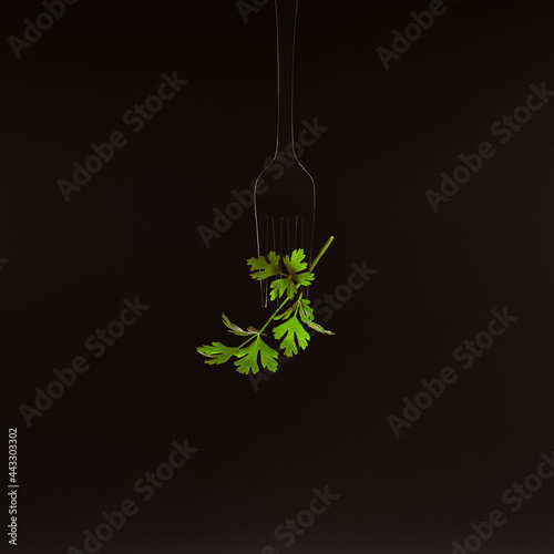 fork parsley leaves on black background