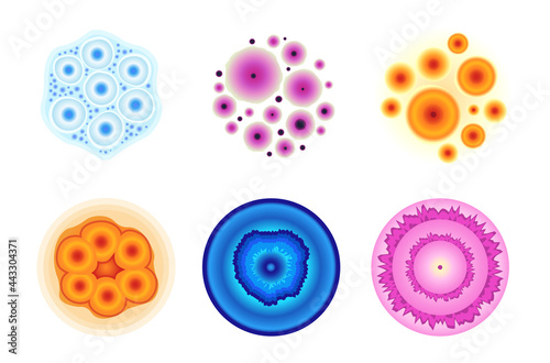 Set of Colorful Mold Fungi or Cells in Lab Petri Dish Isolated Bacteria or Penicillin under Microscope in Laboratory