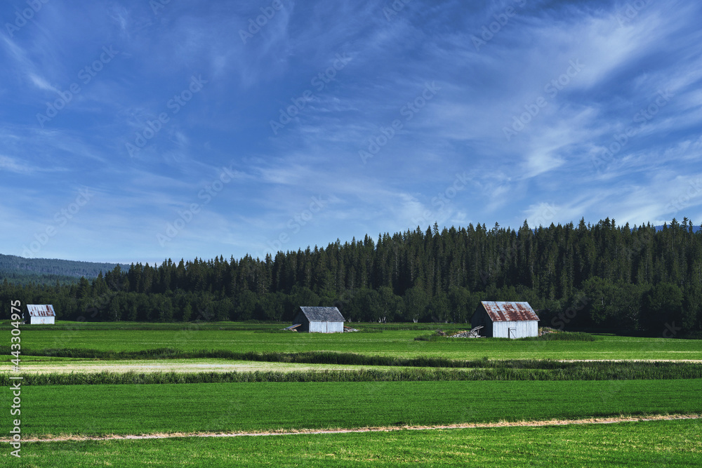Wild mountains of Hemsedal. The nature is wild and the scenery is set. Golden hour light and dramatic sky. Country life here is not bad. Wild mountains of Hemsedal. The nature is wild and the scenery is set. Golden hour light and dramatic sky. Country life here is not bad.