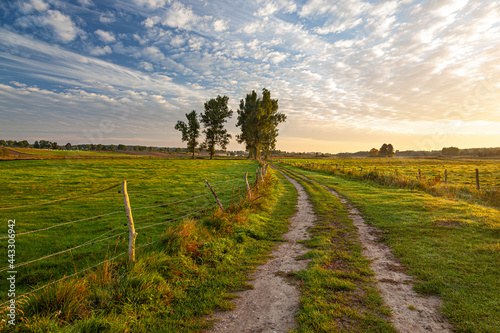 Fototapeta Naklejka Na Ścianę i Meble -  A field road between pastures and meadows at sunrise near the village of Gamerki Wielkie in Warmia and Mazury in Poland