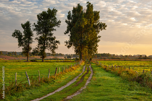 Fototapeta Naklejka Na Ścianę i Meble -  A field road between pastures and meadows at sunrise near the village of Gamerki Wielkie in Warmia and Mazury in Poland