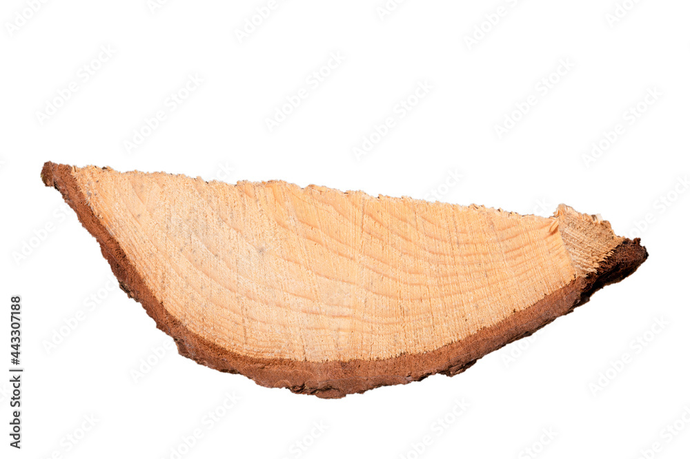 Piece of coniferous wood with visible bark. Material for the manufacture of furniture. Piece of coniferous wood with visible bark. Material for the manufacture of furniture.