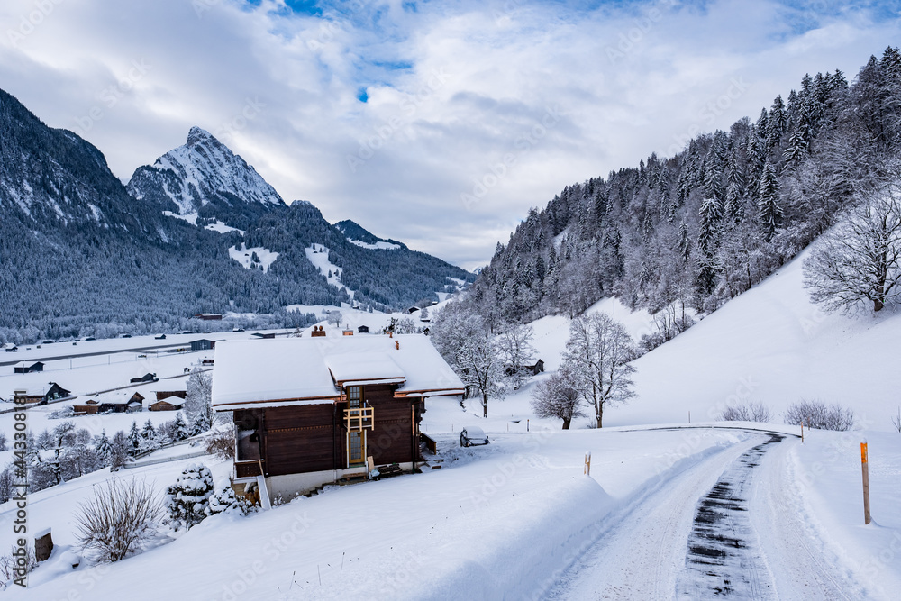Winter landscape - Saanen, Switzerland