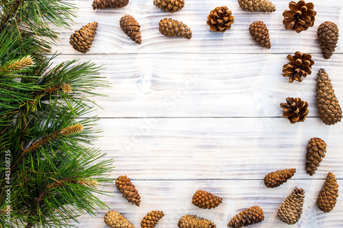 Fir cones with pine branch on white wooden background. Festive concept
