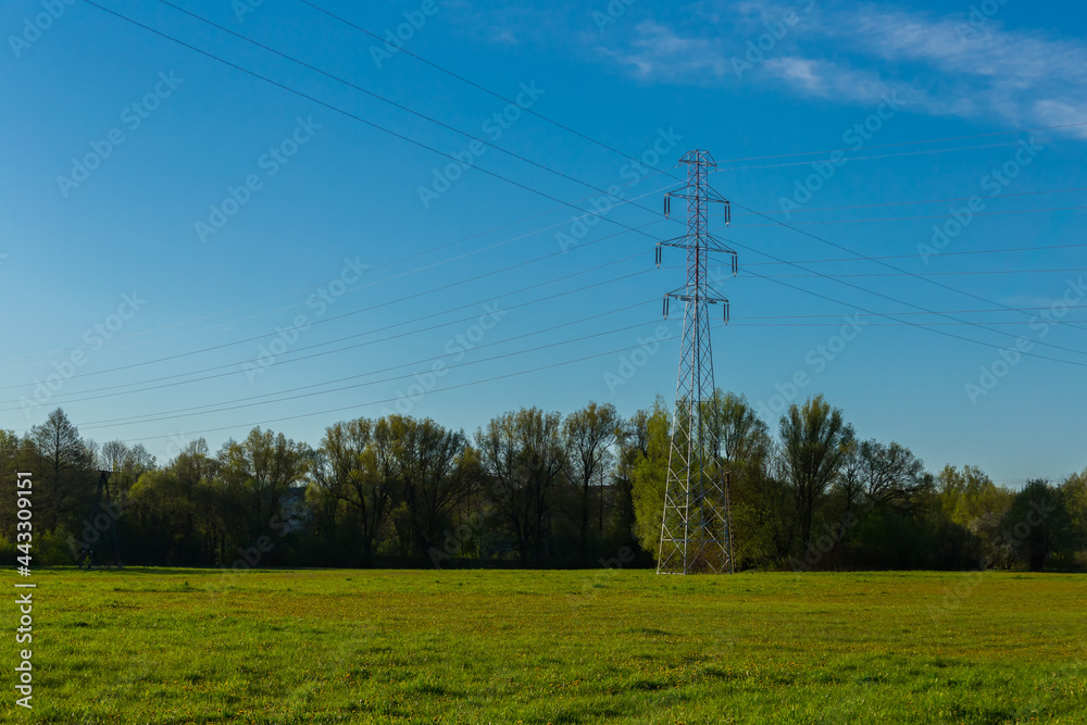 Obraz premium power lines in the field