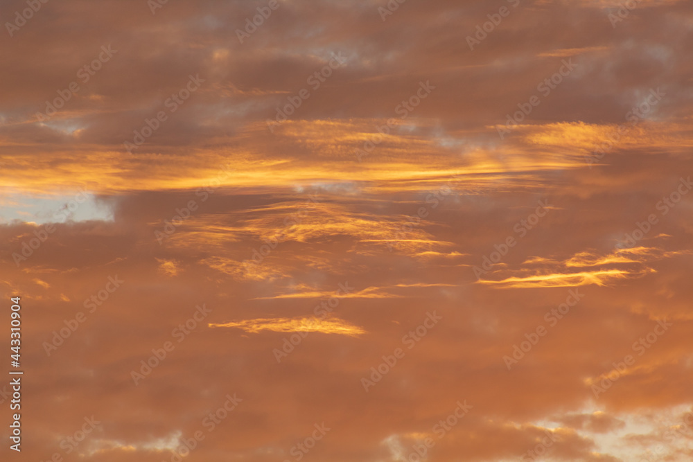 Obraz premium sunset in the sky