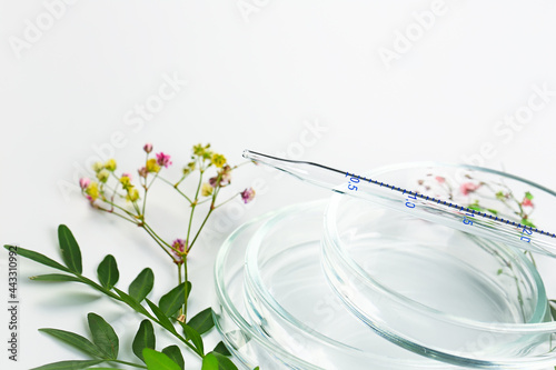 Petri dish with pipette and flowers. laboratory botanical background. laboratory clinical development, natural ingredients