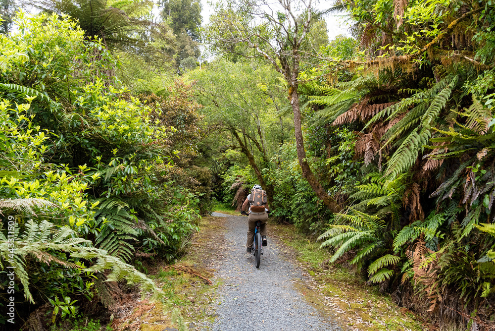 Fototapeta premium Mountain biking the Old Coach Road, New Zealand