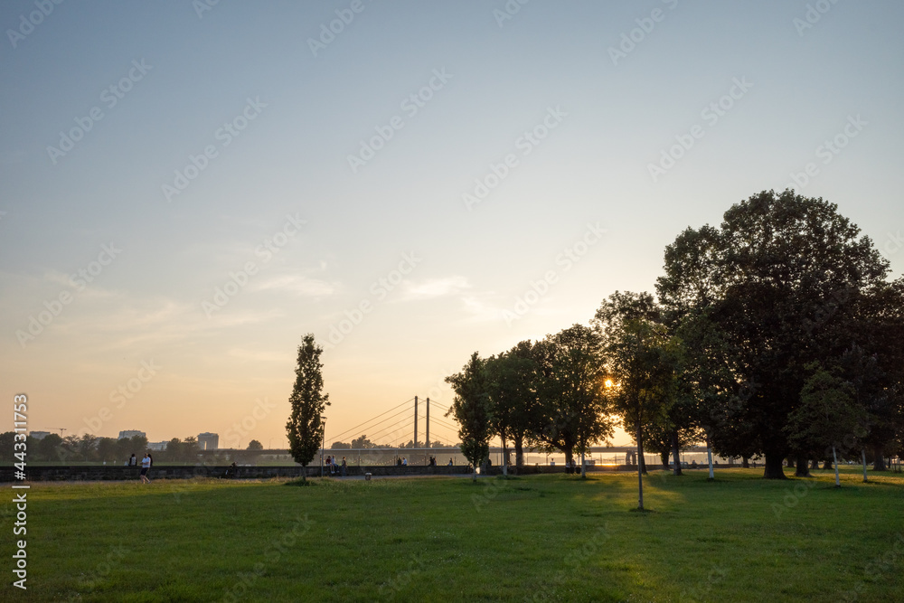 Outdoor sunny landscape view at Rheinpark Golzheim, big long park along riverside of Rhine river in Düsseldorf, Germany during sunset.