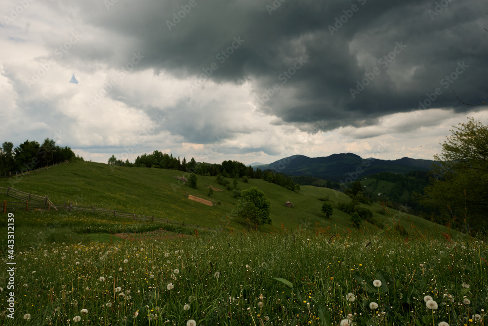 Picturesque spacious and clean mountain slopes