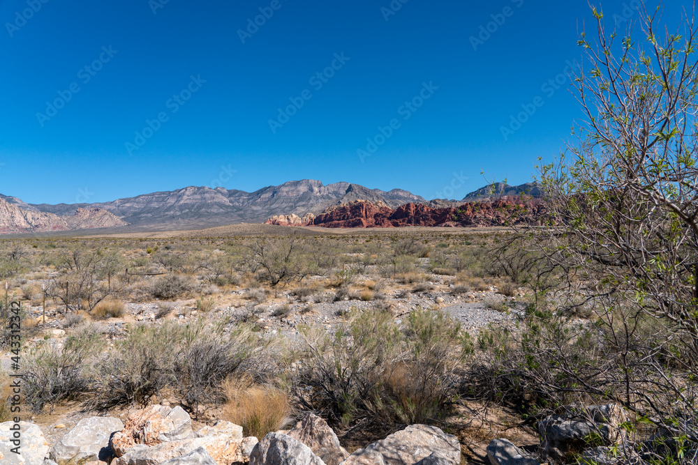 View of Open Land and Clear Blue Skies in the Red Rock Canyon National Conservation Area