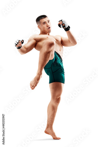 MMA. Knee kick. Male fighter with a knee kick. Sport. Isolated in white background photo