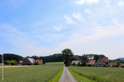 Obraz na płótnie Osnabrücker Land bei Wellingholzhausen am Teutoburger Wald, Niedersachsen, Deutschland w salonie