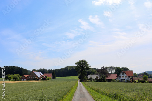 Osnabr  cker Land bei Wellingholzhausen am Teutoburger Wald  Niedersachsen  Deutschland