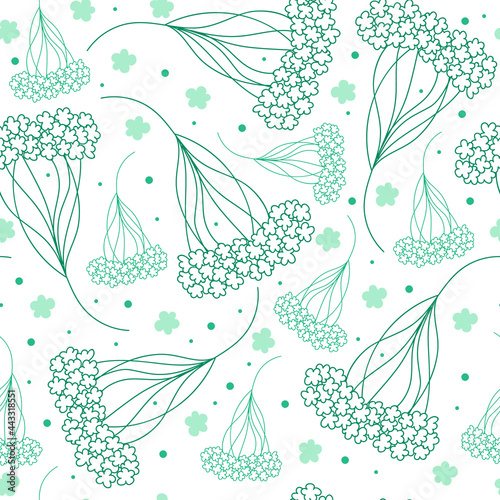 Yarrow inflorescences pattern