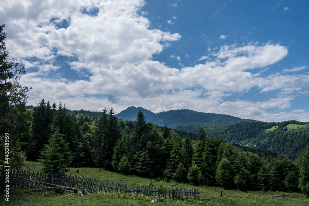 Landscape in Mountains, Romania
