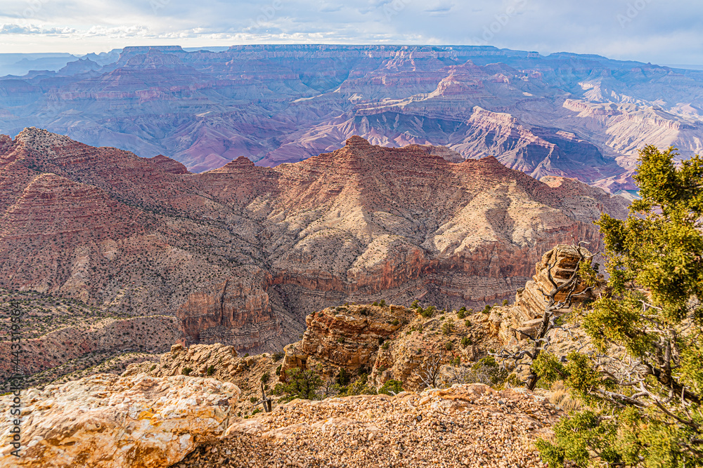 Fototapeta premium Grand Canyon National Park