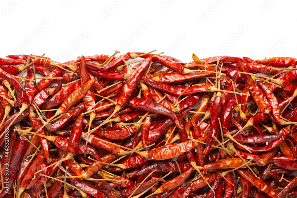 Top view of dried chili on white background Top view of dried chili on white background
