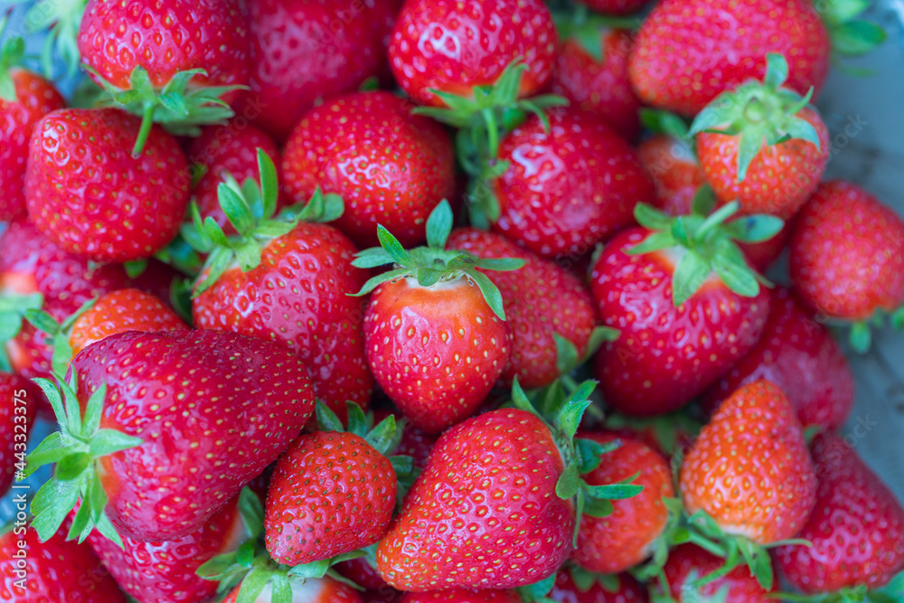 Close up macro view of red ripe strawberries isolated on background. Close up macro view of red ripe strawberries isolated on background.