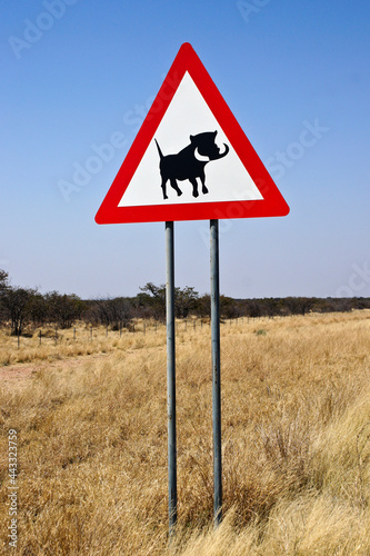 Warning sign for warthogs on highway, Namibia