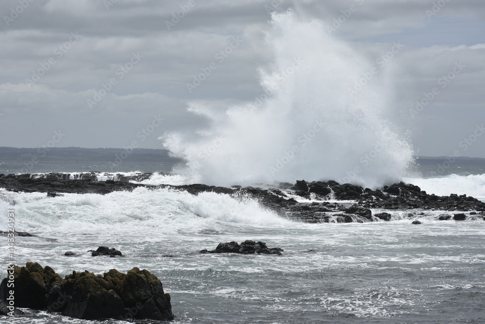 Wave breaking on the rocks. Phillip Island. Victoria. Australia