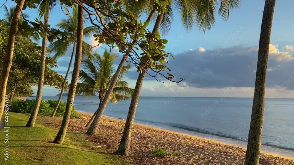 Beautiful, quiet tropical beach at sunrise  sunset looking towards Double Island Point, with gently lapping waves under a blue and gold tinged sky with palm-fringed shoreline of north Queensland