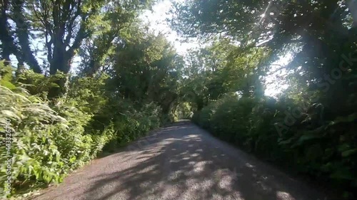 Drive through Irish countryside on a sunny summer day, rural road with green walls, trees and bushes photo