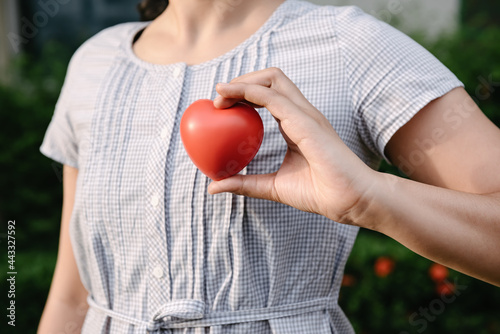 Health Care and CSR Insurance Concept, Female Hands Holding Red Heart Shape for Organ Donation. Healthy Wellbeing and Life Balance Concepts. Help Donate Heart and Blood Support