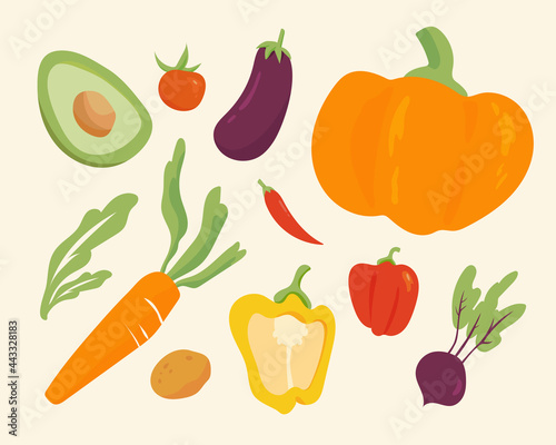 A collection of various vegetables. flat design style minimal vector illustration.