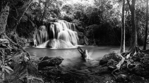 Black And White beautiful waterfall in green forest in jungle at phu tub berk mountain , phetchabun , Thailand