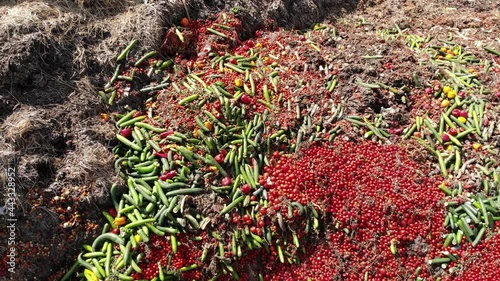 Composting waste vegetables on a slurry pit