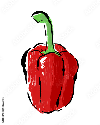 パプリカの手描きイラスト　リアル　赤　ピーマン　単体　野菜