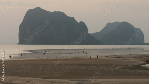 Local Thai fishermen and families collect crabs and conch shells on the golden sand beach at low tide at dusk in front of massive limestone karst formations. Trang, Thailand photo