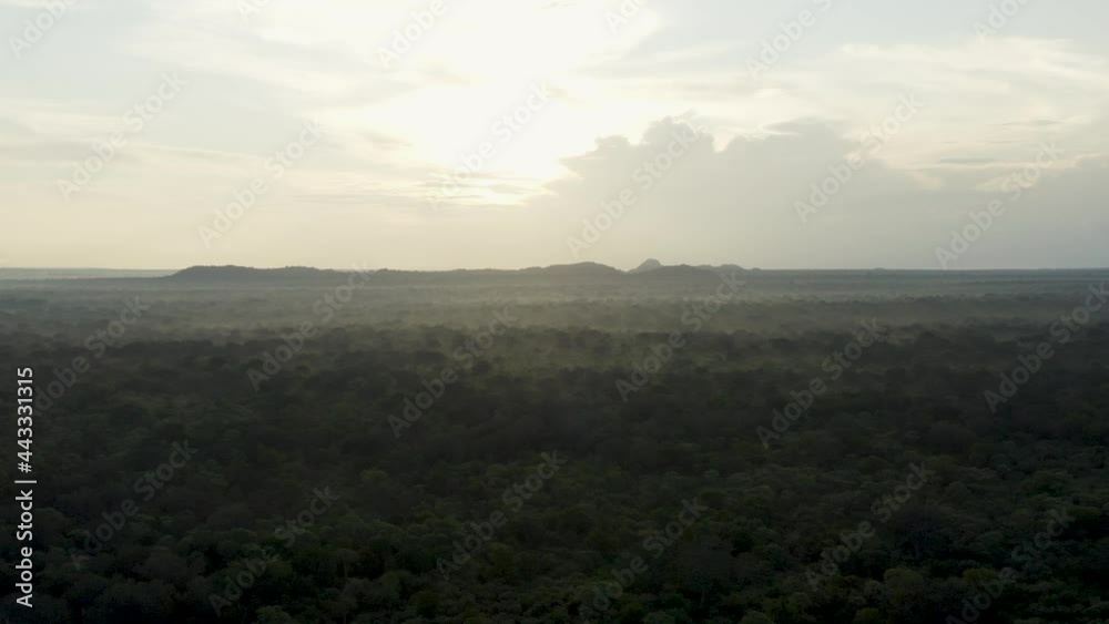 Sunrise above steam filled humid jungle in Sri Lanka forest, aerial Sunrise above steam filled humid jungle in Sri Lanka forest, aerial