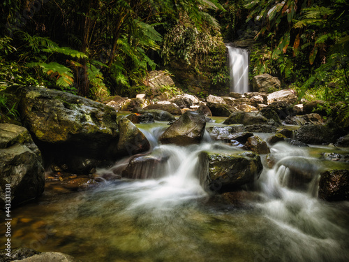 Fototapeta Naklejka Na Ścianę i Meble -  Juan Diego Waterfalls in El Yunque National Rainforest