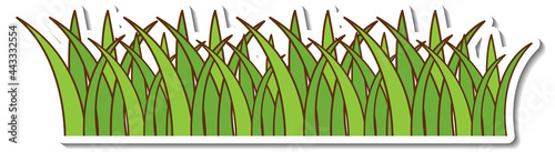 Geen grass sticker on white background