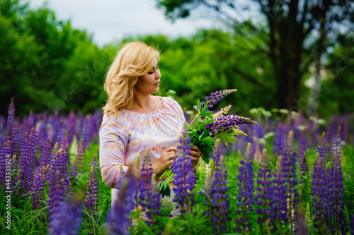 Portrait of a young plump blonde woman in a blooming field of lupines. A woman collects a bouquet of lilac-pink flowers in a meadow.