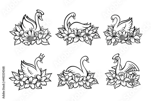 Set of line art beautiful swan with place for baby name for print