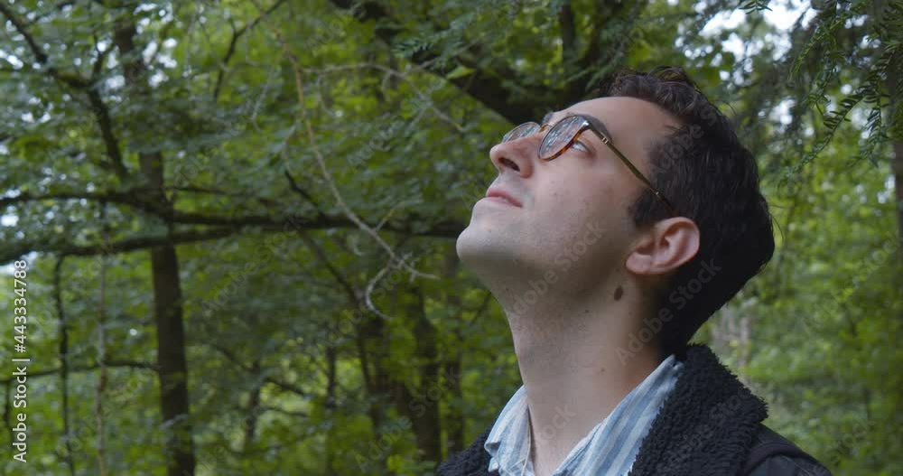 A man looking up at the trees in a forrest A man looking up at the trees in a forrest