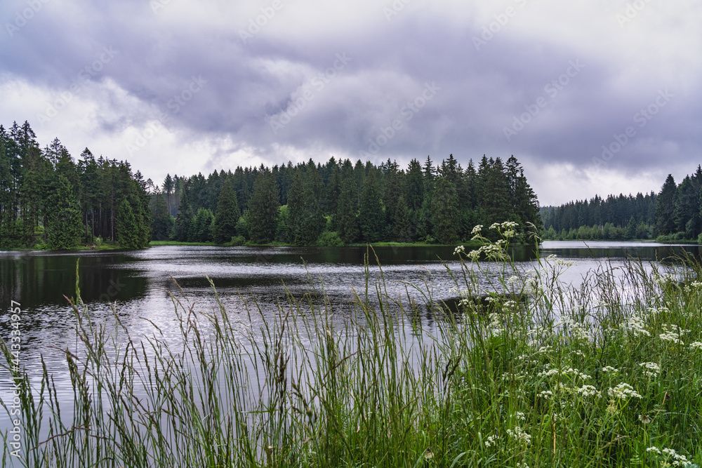 Bärenbrucher Teich im Harz