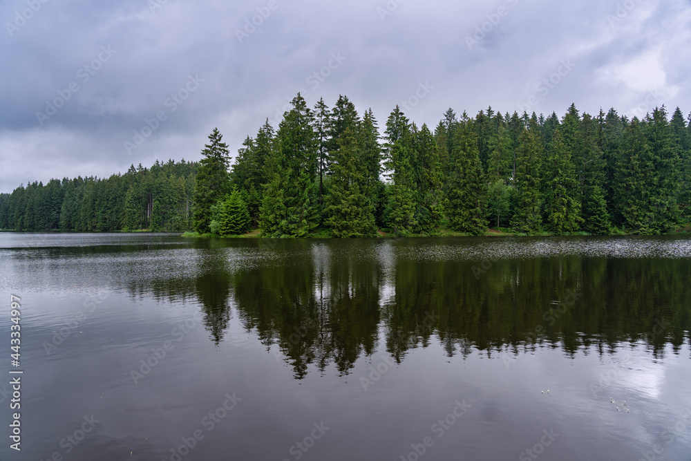 Fototapeta premium Bärenbrucher Teich im Harz